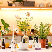 The September Reset at Bampton House — Body Oil Blending Workshop