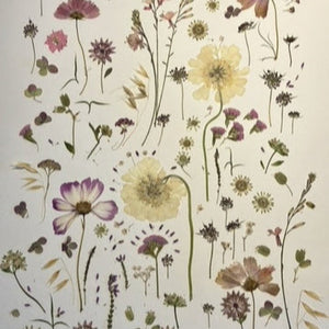 Pressed Flower Card Workshop with Pressto Flowers - Thurs 6th March 6-8pm