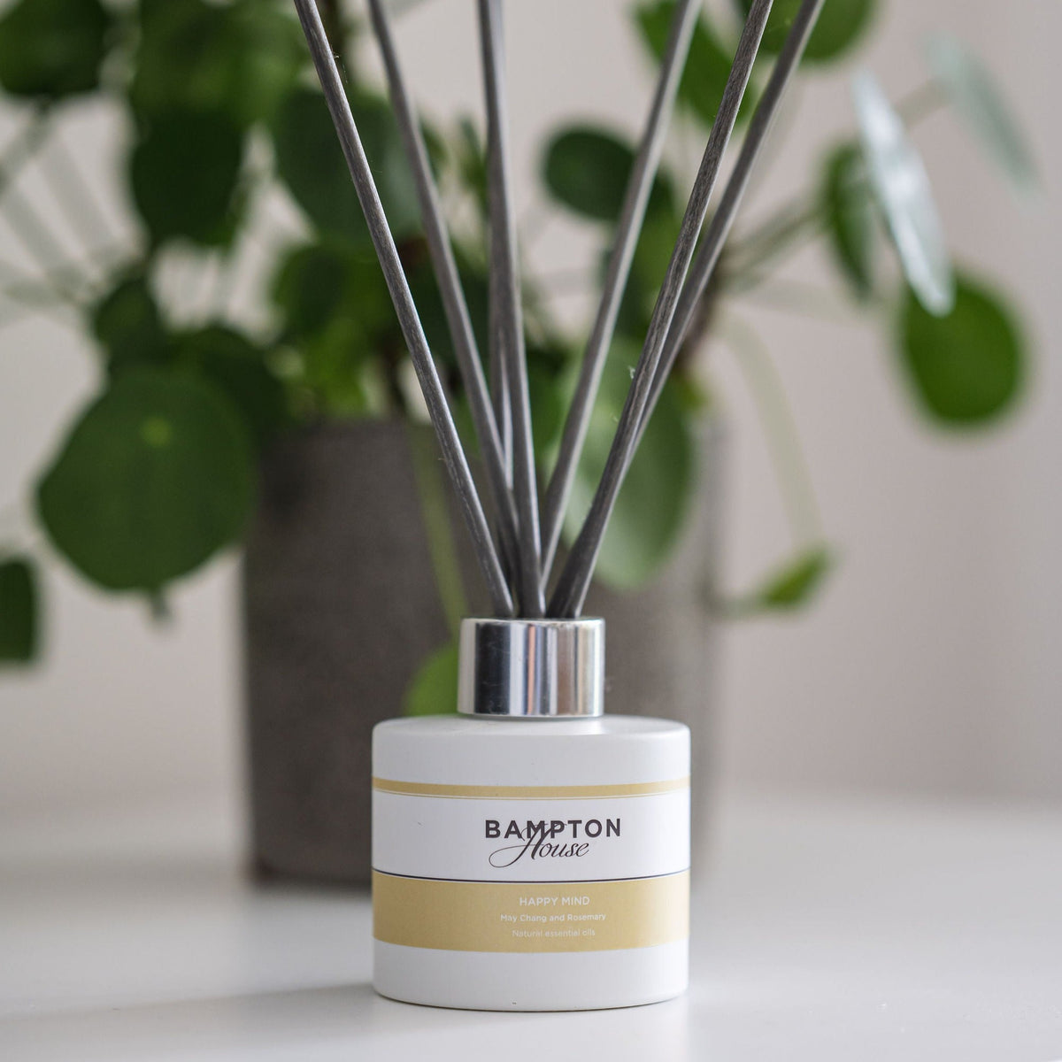 Reed Diffuser - Happy Mind